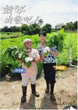 韩国电影朋友海报